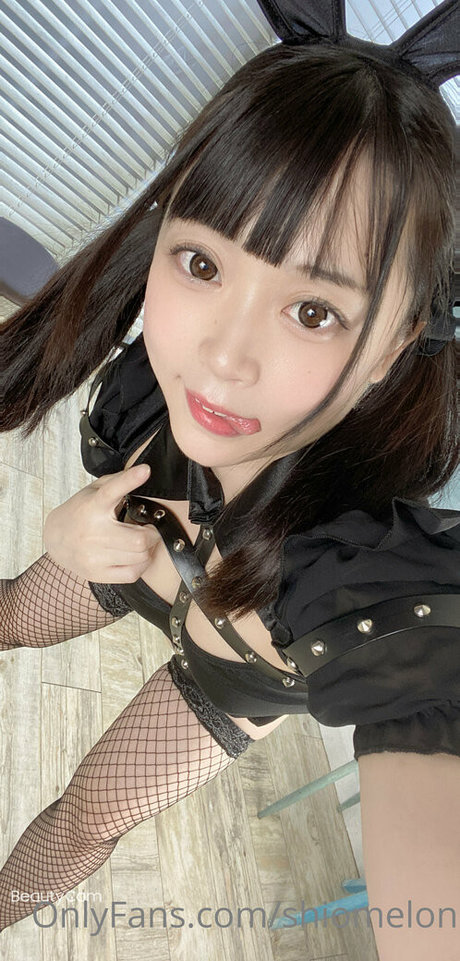 Shiomelon bonita modelo archivo