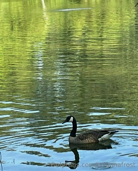 briannafrost actrice des photos