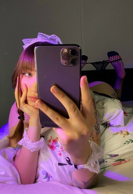 lizlarsen modèle gratuit image