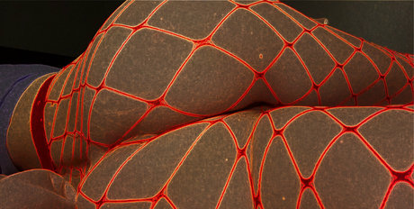 princesskittyfree belle étoile img