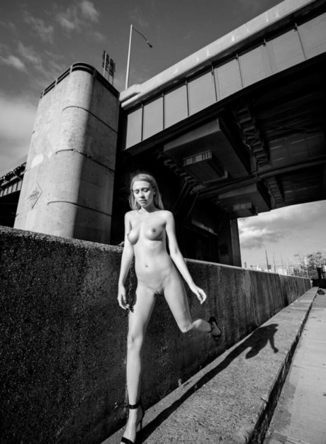 Riley Anne estrella erótica foto