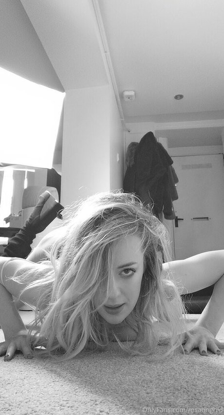 rosabrighid Imagen de perfil