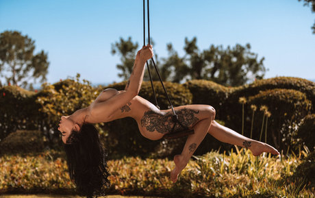 Blizzard art étoile photo