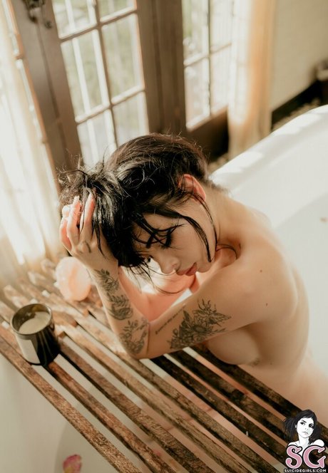 Blizzard adult star img