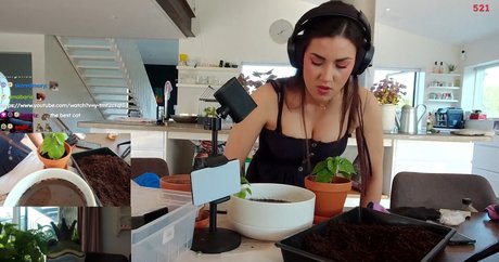 yabbe jolie étoile collection