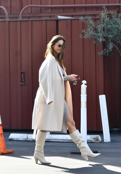 Alessandra Ambrosio modelo de alta definición foto