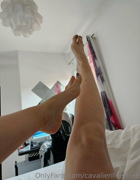 cavalierifeetfree bonita modelo fotos