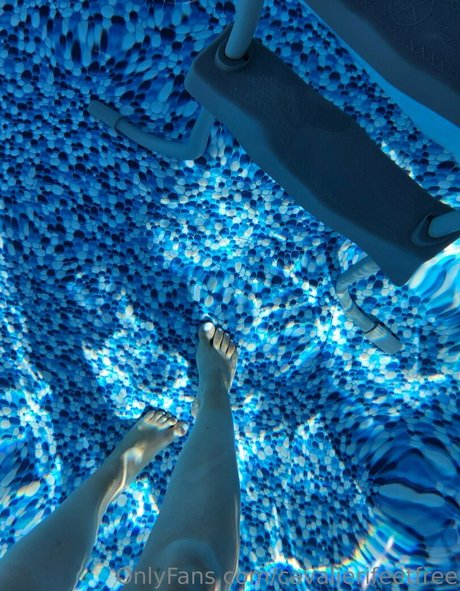 cavalierifeetfree estrella xxx imagen