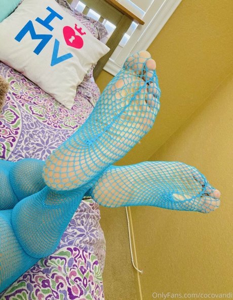 cocovandi star du porno gratuite galeries