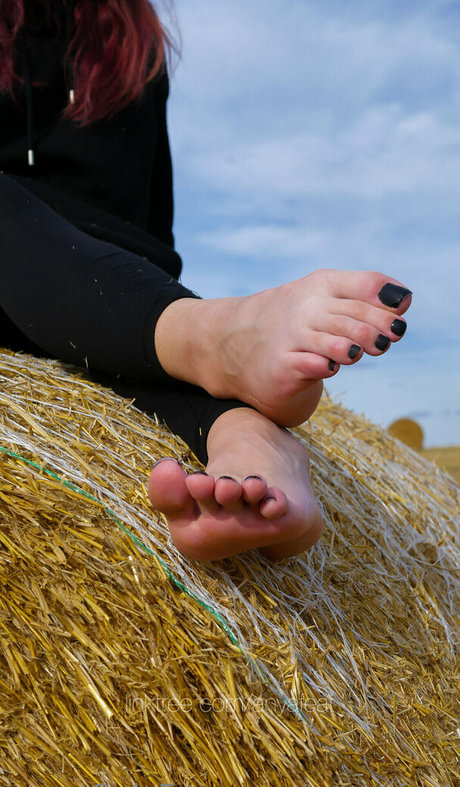 aanyafeat étoile sympa images