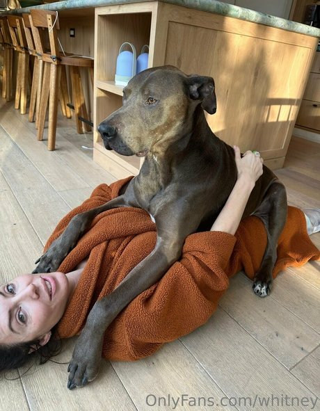 whitney estrella porno superior foto