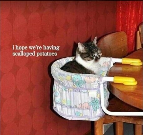 yubaba yaga estrella sexy recopilación