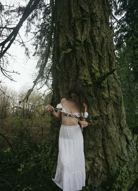 Acacia Kersey estrella libre recopilación