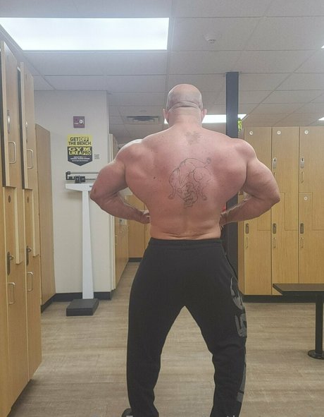 justinmetrando star du porno parfaite collection