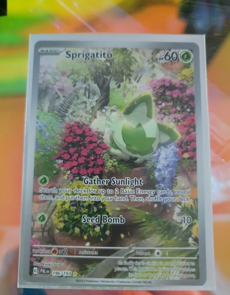 yureta2 actrice adulte galerie