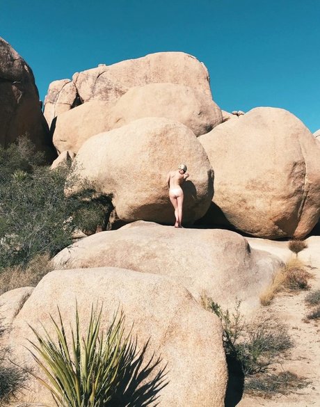 Alessandra Torresani Imagen de perfil