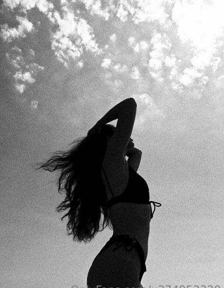 lilylong estrella libre galerías