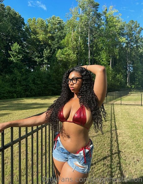 joyythestallion estrella de alta calidad fotos