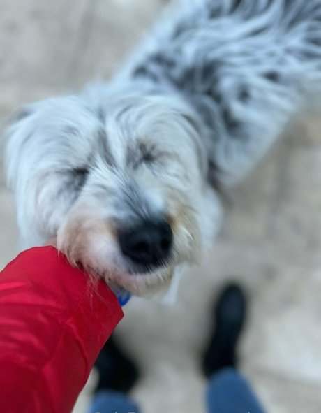 yasmineamory star du sexe image