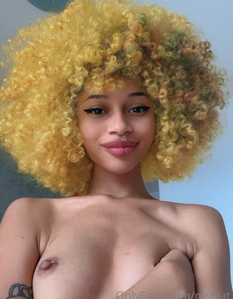 msflat joli modèle image