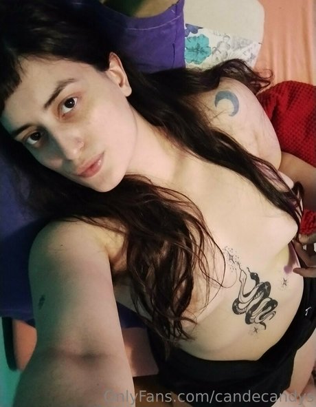 candecandys estrella superior fotos