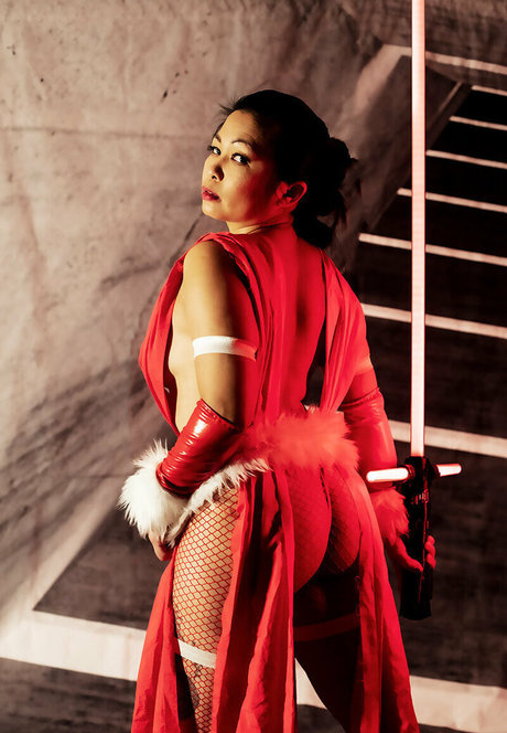 vivsai estrella del arte recopilación