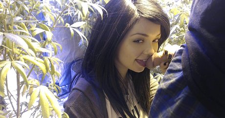 Soyacide top pornstar pics