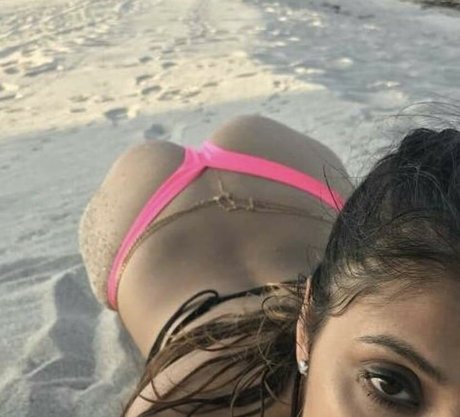 Extraperky meilleur modèle archive