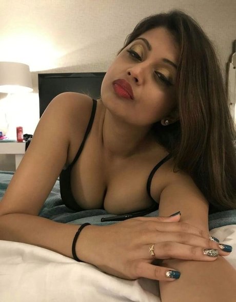 Extraperky modèle hd collection