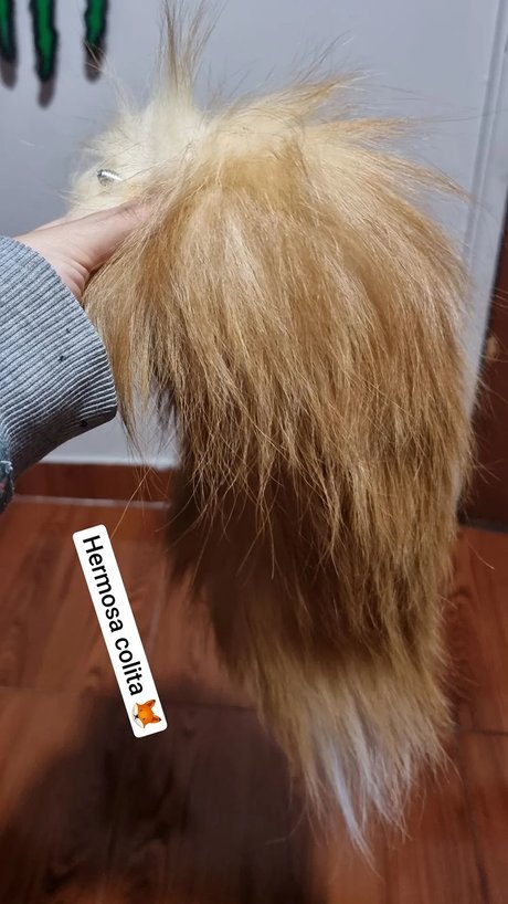 Pareja de pollas grandes onlyfans hermosa alta definición recopilación