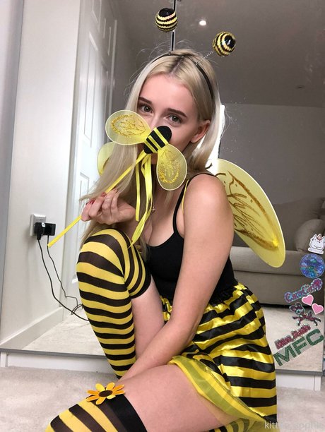 Kirabee estrella de alta calidad galerías