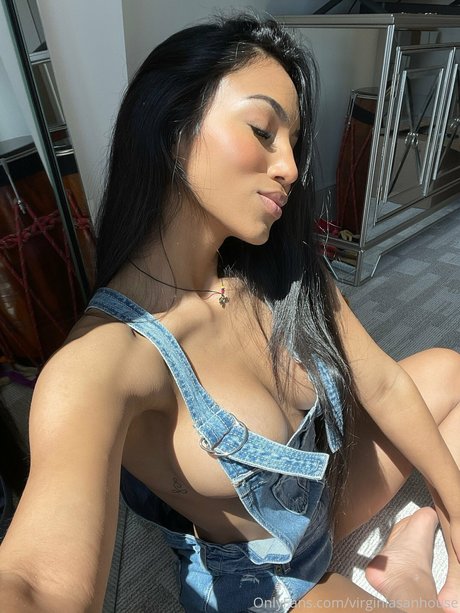 Virginia Sanhouse desnudos de estrellas foto