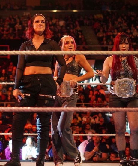 Bayley modelo libre galerías