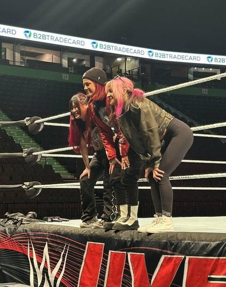 Bayley libre de estrellas fotos