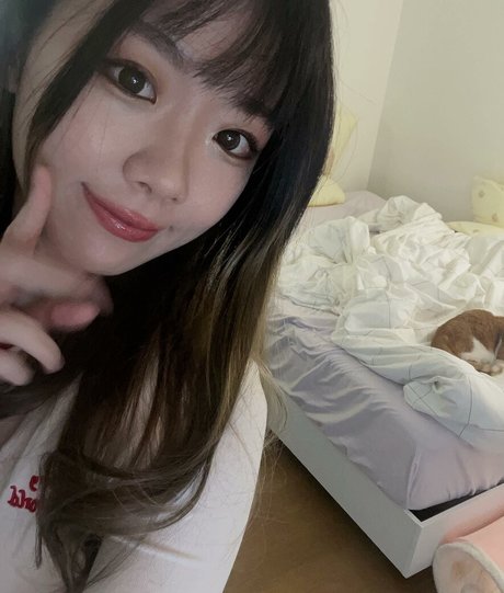 igumdrop modelo archivo