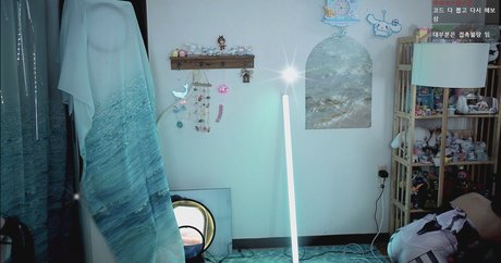 sooflower modelo gratis archivo