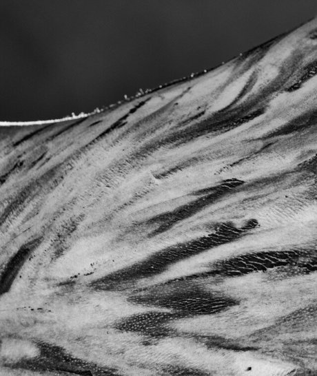 Team Amasian star du sexe des photos