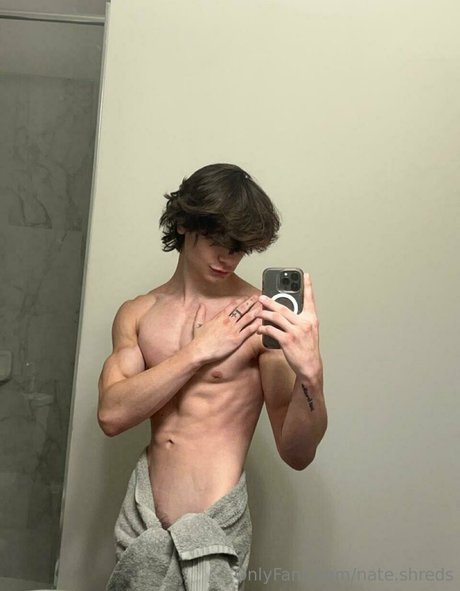 nate shreds meilleure star du porno collection