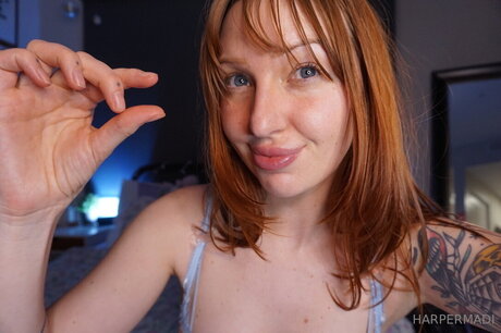 harpermadi_ étoile de haute qualité photo