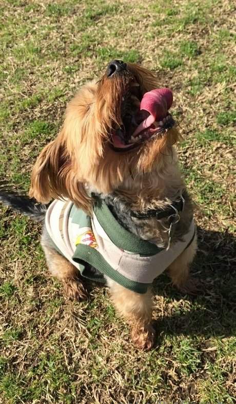 NakedBakers modèle archive