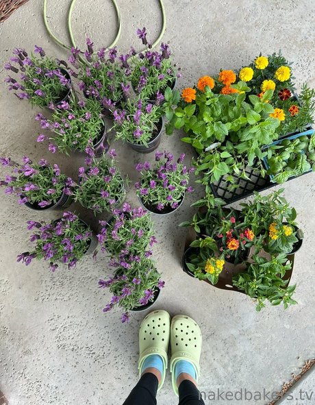 NakedBakers modèle magnifique photos