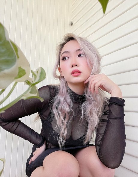 harrietsugarcookie modèle gratuit galerie