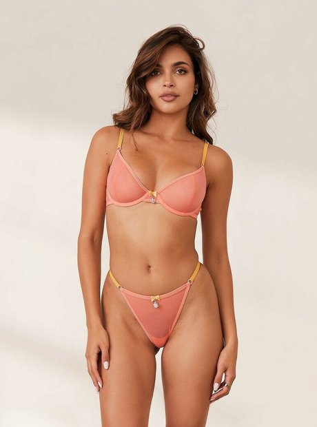 Leidy Amelia Miniatura