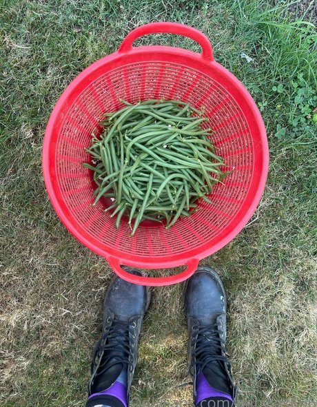 babyjas666 estrella porno xxx galería