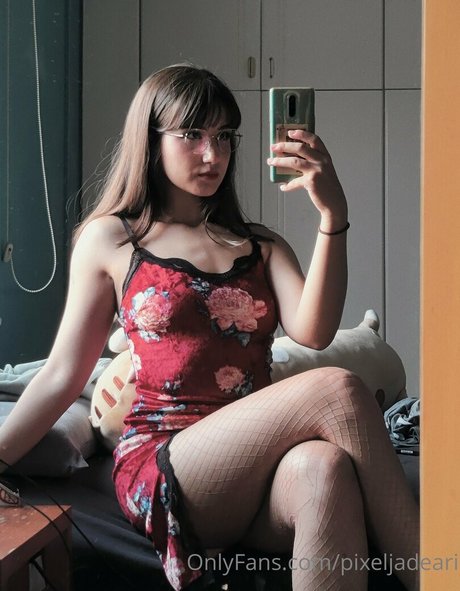 pixeljadearixela modèle parfait galerie