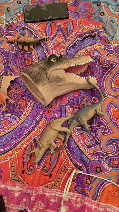 freetheo0pepper0o bonita estrella fotos