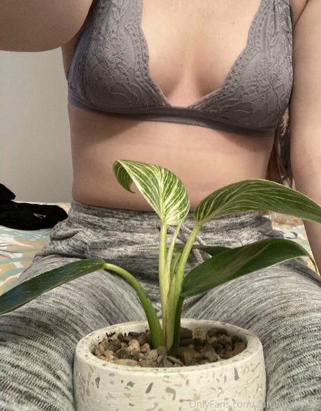 autumnskyexo Imagen de perfil