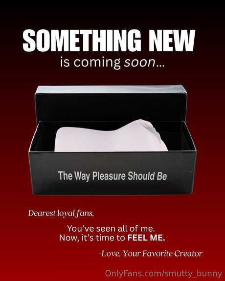 smutty bunny star du porno hd images