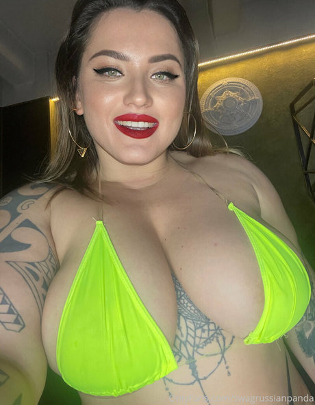 SwagRussianPanda libre de estrellas archivo