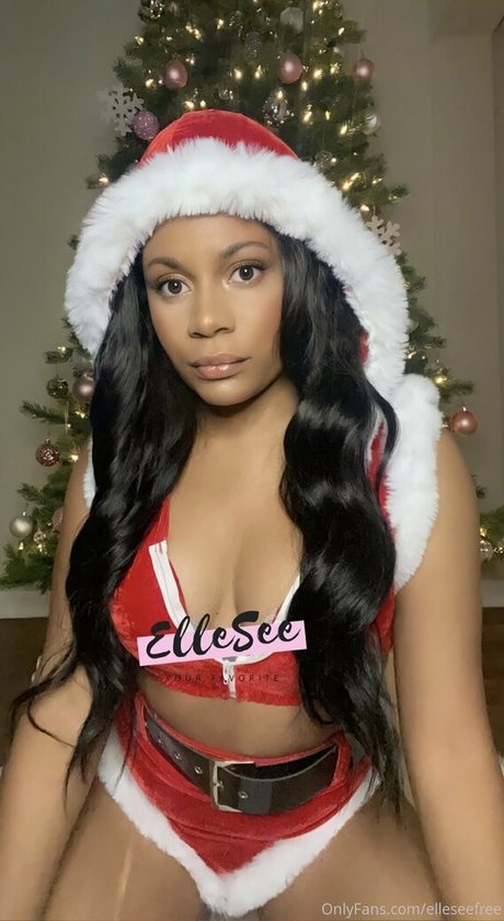 elleseefree étoile magnifique archive